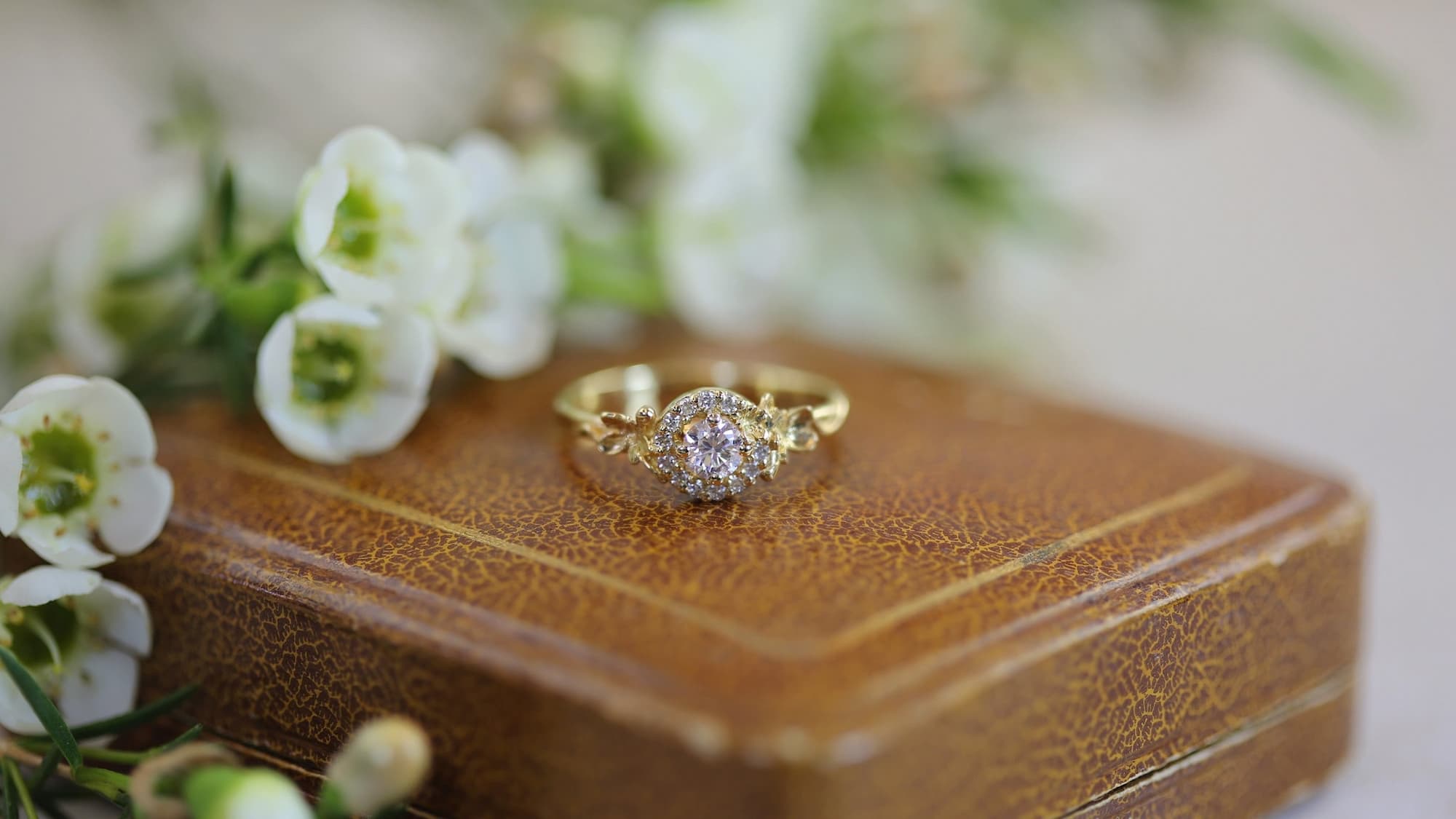 Halo Rings