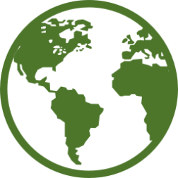 Globe icon